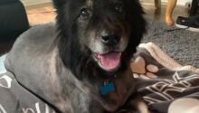 Meet Our Newest Rescue!