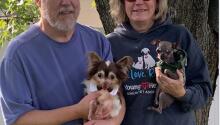 Ollie's Happily Ever After