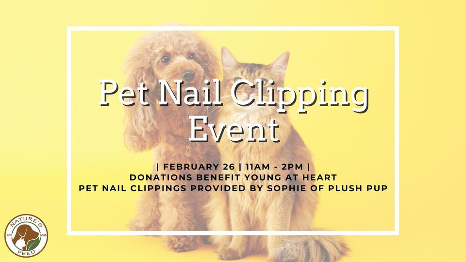 Pet Nail Clipping Event Young At Heart