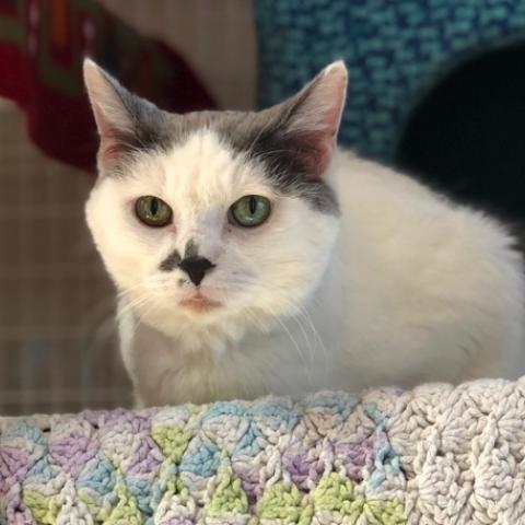 Chloe