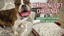 Double Your Donation!