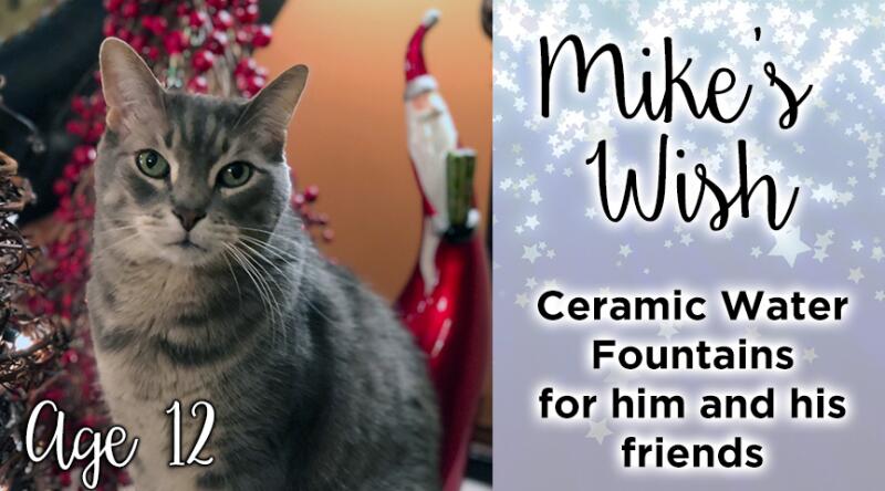 mike wish