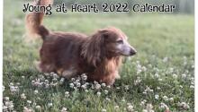 Young at Heart 2022 Calendars are Here!