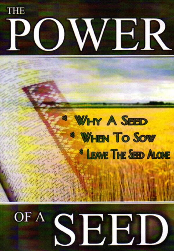 The Power Of A Seed