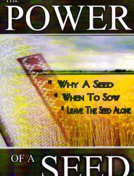 The Power Of A Seed