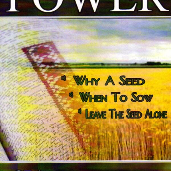 The Power Of A Seed