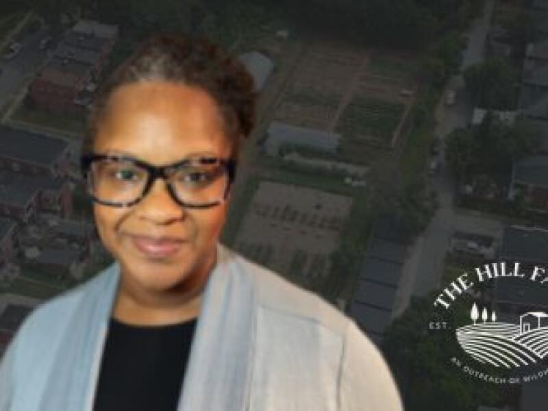 Lori A. Francis, PhD