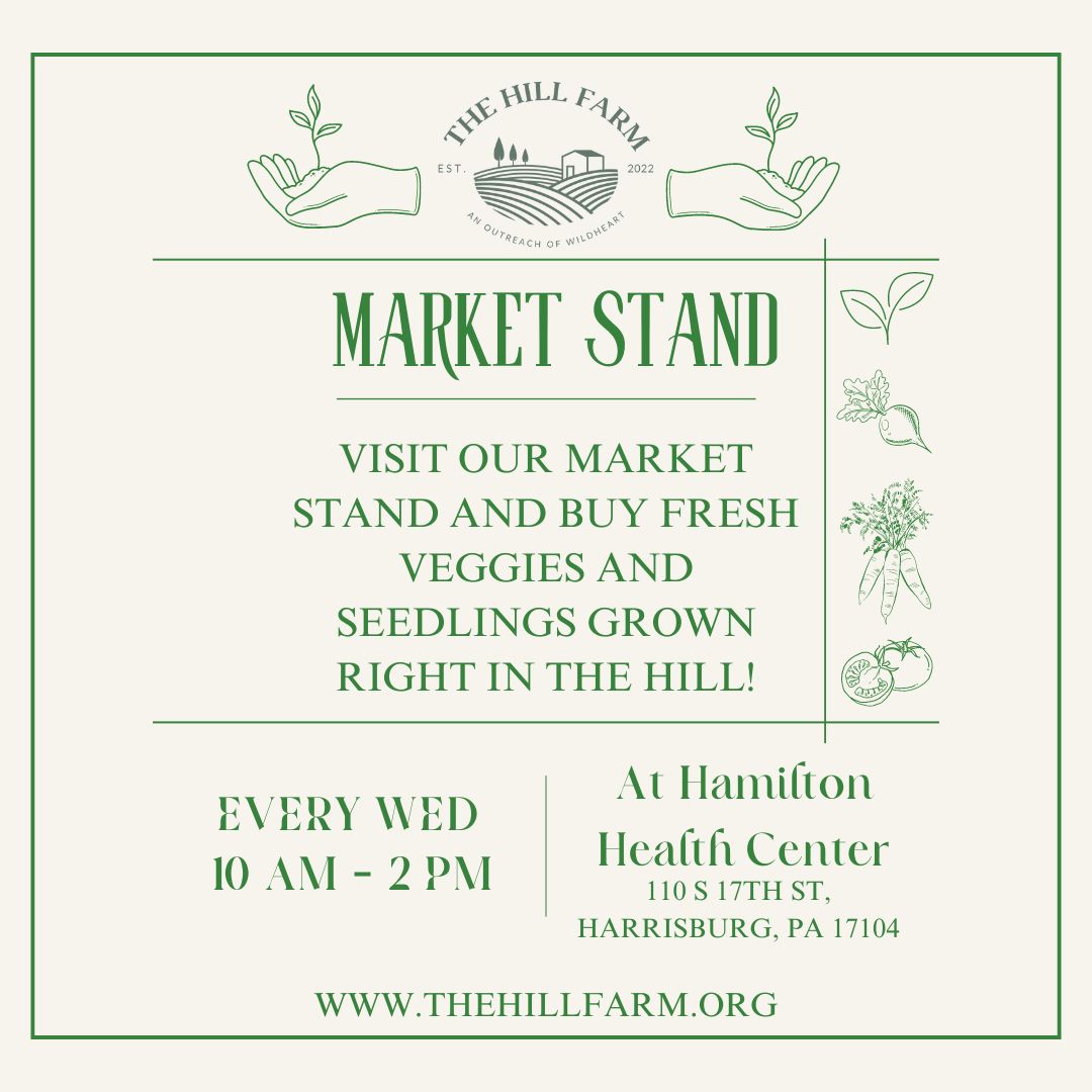 The Hill Farm Market Stand