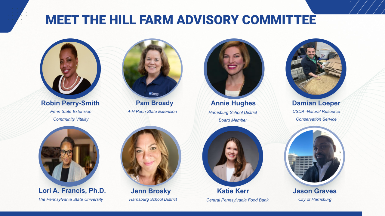 Advisory Board