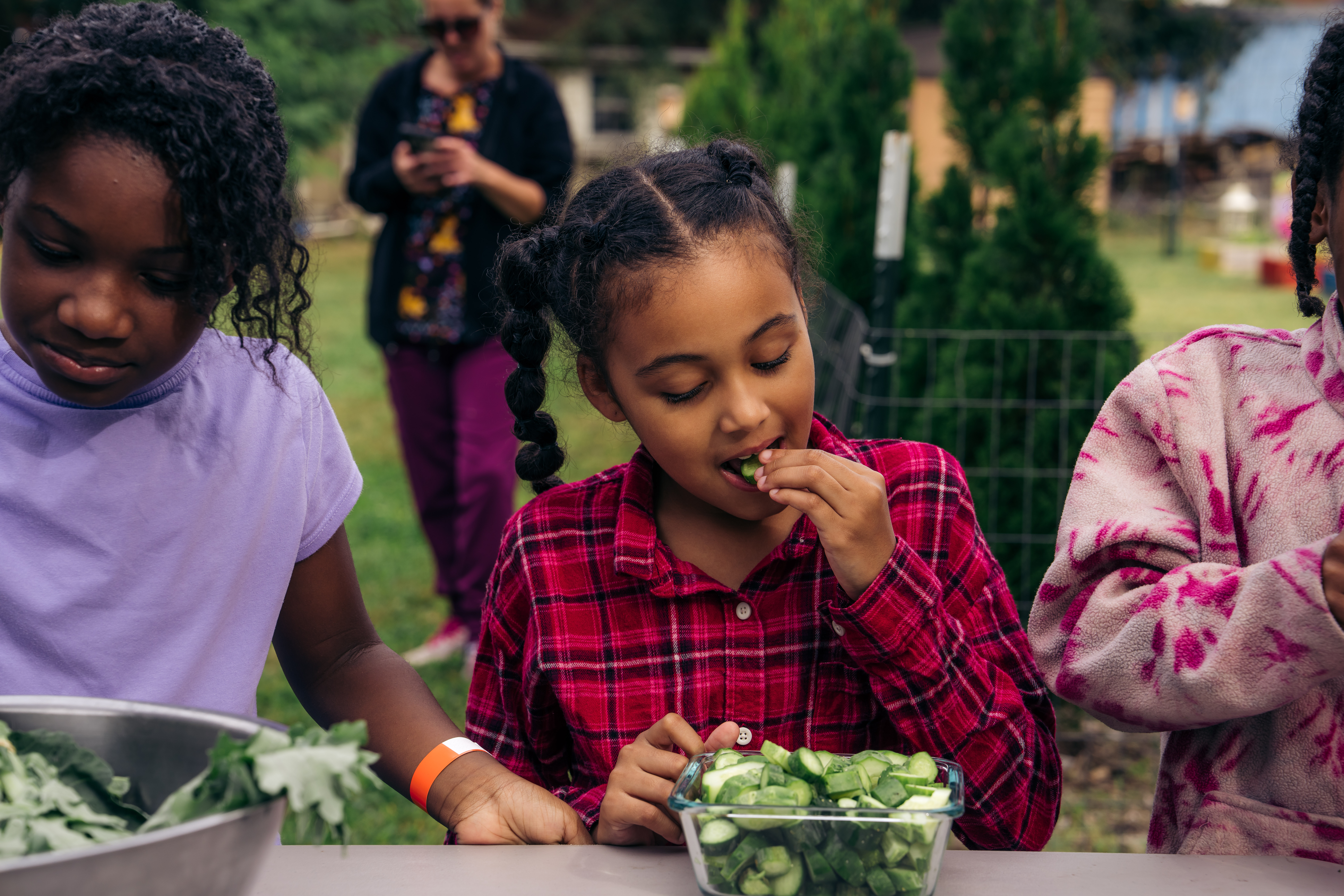 Reflections on The Hill Farm